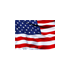 US flag icon